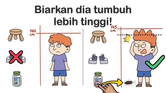 Kunci jawaban brain out