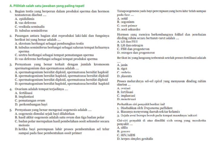 Kunci jawaban ipa kelas 9 halaman 241