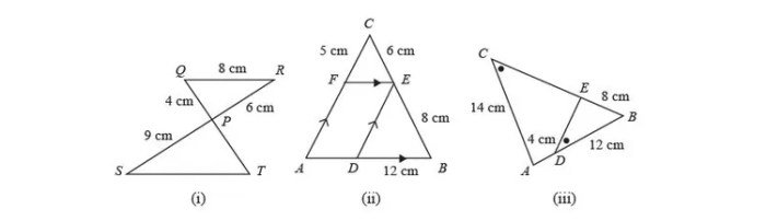 Kunci jawaban matematika kelas 9 halaman 254