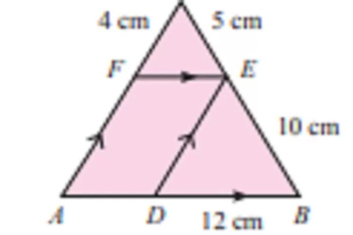 Kunci jawaban matematika kelas 9 halaman 254