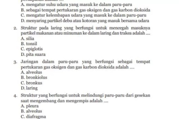 Kunci jawaban ipa kelas 8 halaman 13