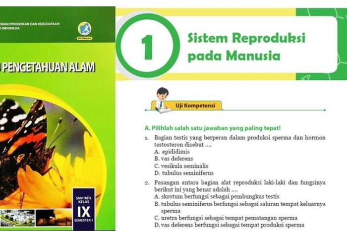 Kunci jawaban ipa kelas 9 halaman 175