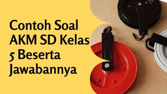 Soal dan kunci jawaban akm literasi kelas 5 sd terbaru