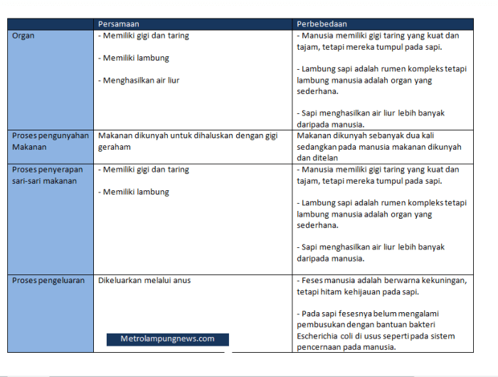 Kunci jawaban tema 5 kelas 3 halaman 3