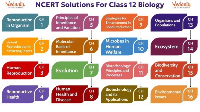 Kunci jawaban biologi kelas 12