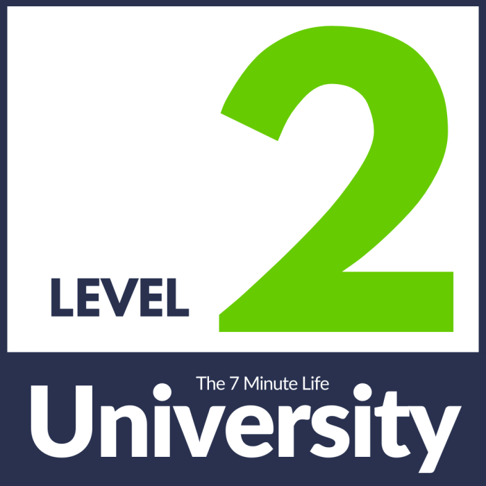 Kunci jawaban level 2