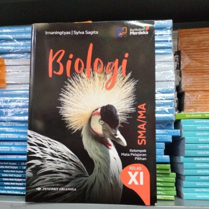 Kunci jawaban biologi kelas 11 kurikulum merdeka