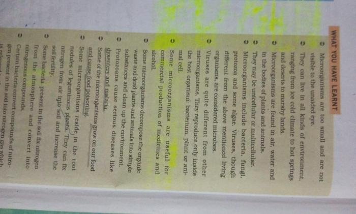Kunci jawaban ipa kelas 8 semester 2 halaman 160