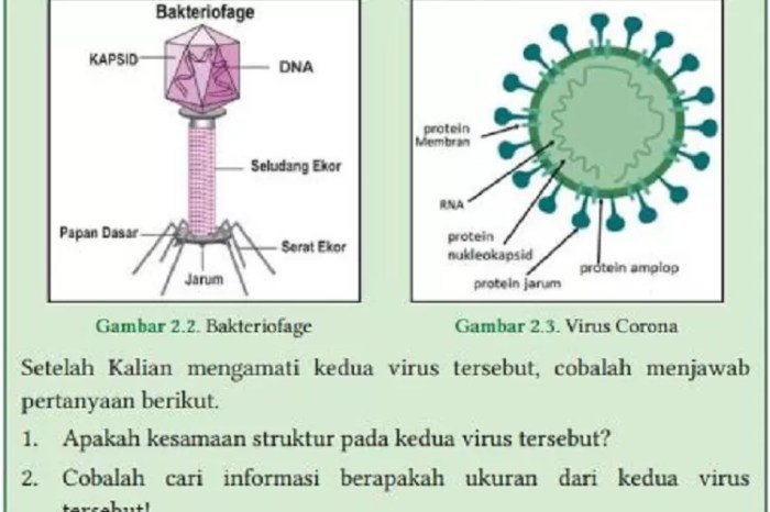 Kunci jawaban buku proyek ipas smk kelas 10
