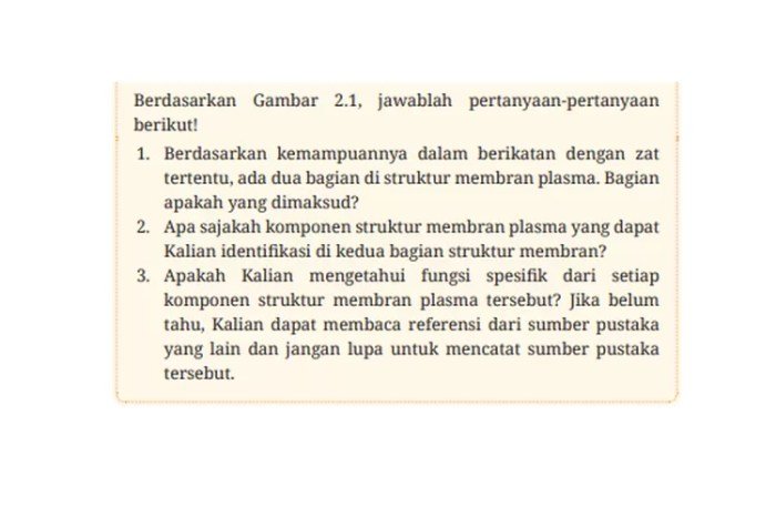 Kunci jawaban uji kompetensi biologi kelas 11 kurikulum 2013