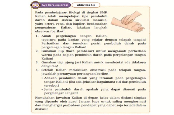 Kunci jawaban biologi kelas 11 kurikulum merdeka