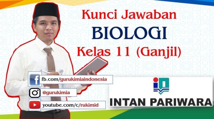 Kunci jawaban bahasa indonesia kelas 12 intan pariwara