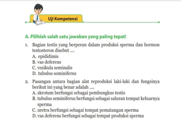 Kunci jawaban pjok kelas 9 halaman 187