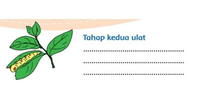 Kunci jawaban tema 3 kelas 3 halaman 126