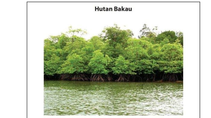 Kunci jawaban bahasa indonesia kelas 7 halaman 129