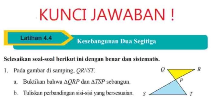Kunci jawaban matematika kelas 9 halaman 281 nomor 2