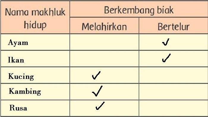 Kunci jawaban tema 1 kelas 3 halaman 23