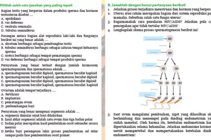 Kunci jawaban ipa kelas 9 halaman 47