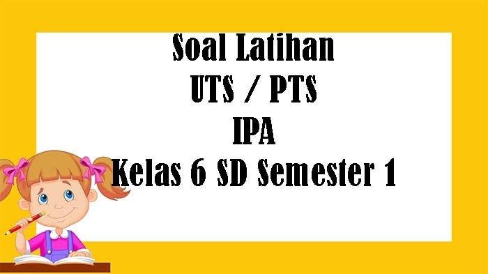 Soal pts kelas 6 semester 1 dan kunci jawaban