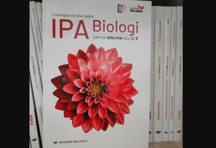 Kunci jawaban buku biologi kelas 10 kurikulum merdeka