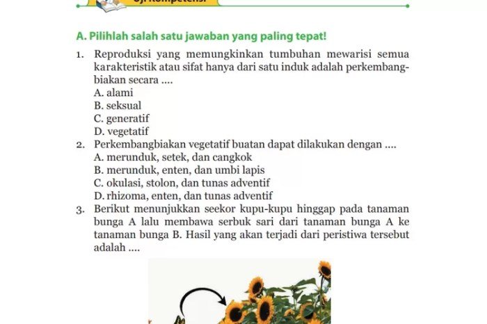 Kunci jawaban ipa kelas 9 halaman 113