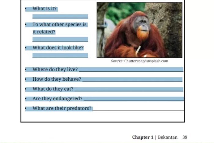 Kunci jawaban bahasa inggris kelas 9 halaman 161