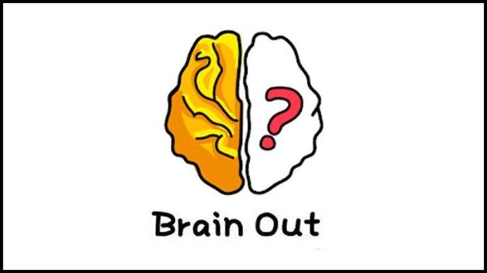 Kunci jawaban brain out level 40