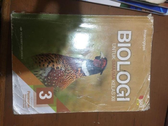 Kunci jawaban buku biologi erlangga kelas 12 kurikulum 2013 revisi