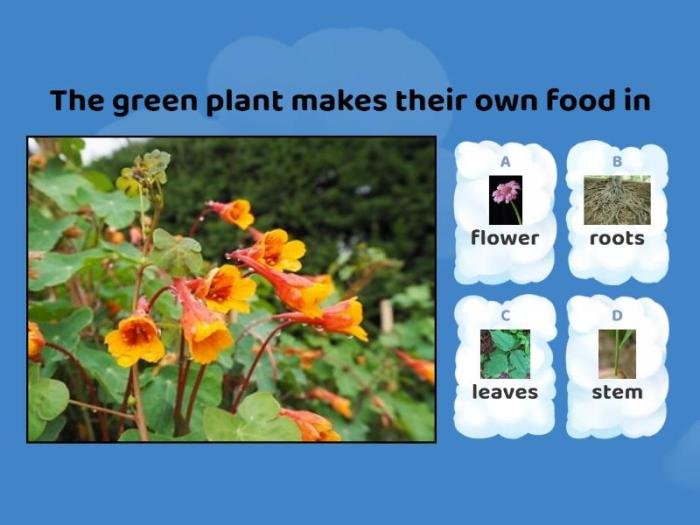 Soal ipa kelas 5 semester 2 dan kunci jawaban 2023