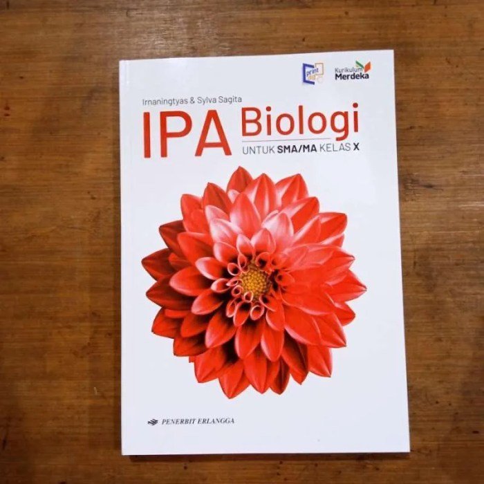 Kunci jawaban buku biologi kelas 10 kurikulum merdeka