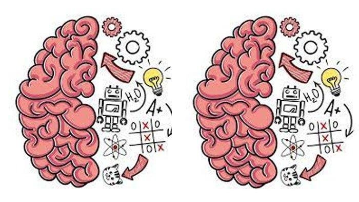 Kunci jawaban brain test 2
