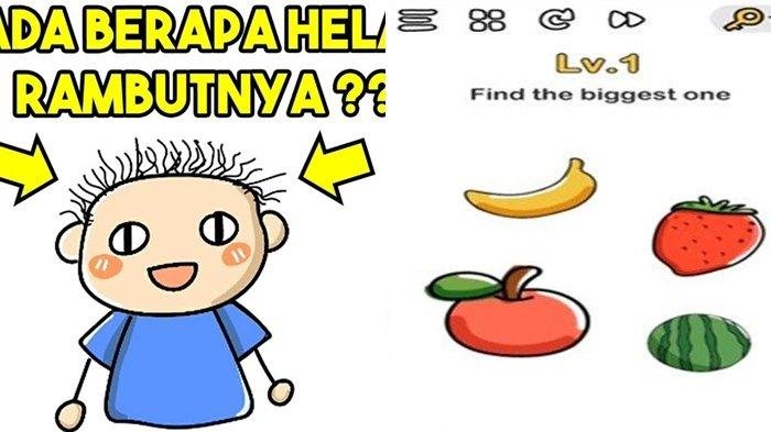 Kunci jawaban brain out level 81
