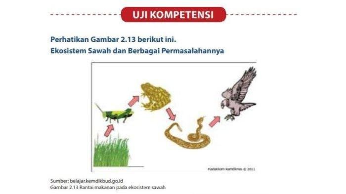 Kunci jawaban ipa kelas 8 halaman 13