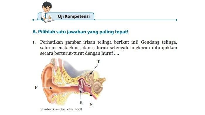 Kunci jawaban ipa kelas 8 semester 2 halaman 160