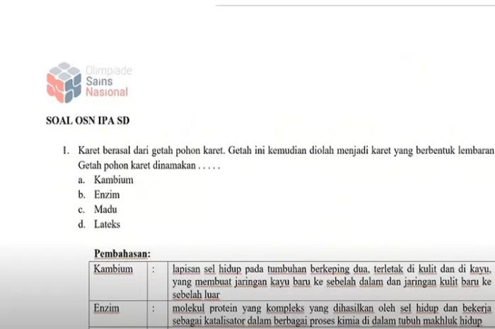 Soal osn ipa sd 2024 dan kunci jawaban