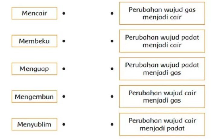 Kunci jawaban tema 1 kelas 3 halaman 90 91