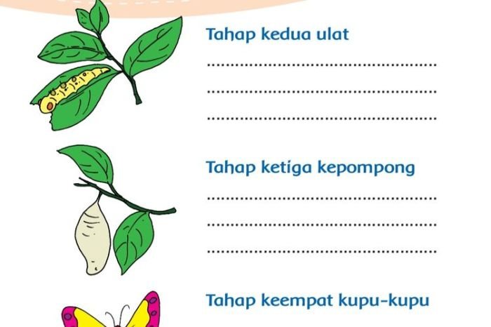 Kunci jawaban tema 1 kelas 3 halaman 26 27
