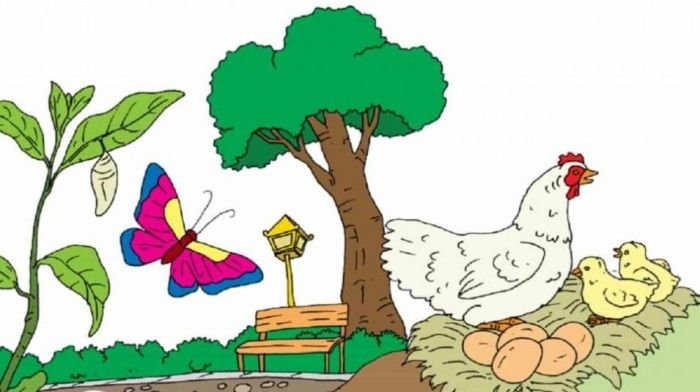 Kunci jawaban tema 1 kelas 3 halaman 52