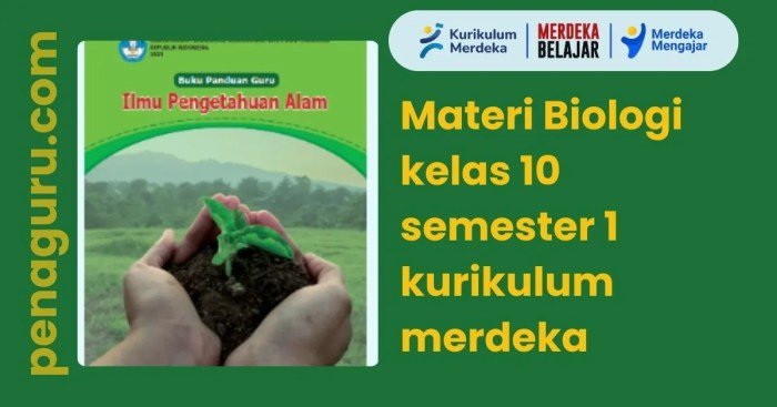 Kunci jawaban ipa biologi kelas 10 kurikulum merdeka erlangga