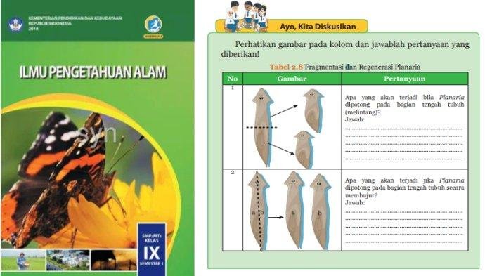Kunci jawaban ipa kelas 9 hal 92