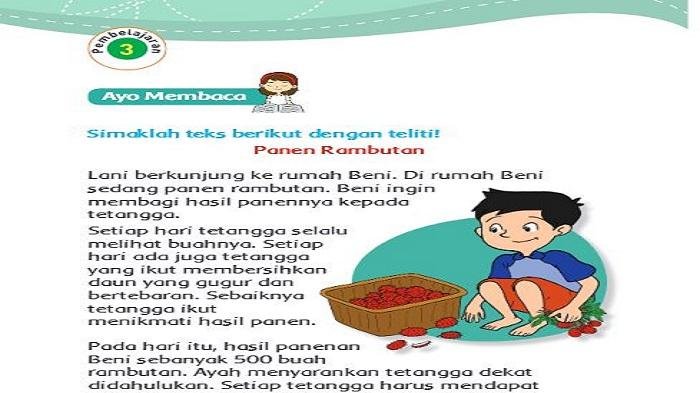 Kunci jawaban tema 3 kelas 3 halaman 204
