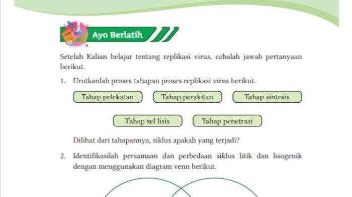 Kunci jawaban ipa kelas 10 kurikulum merdeka halaman 4