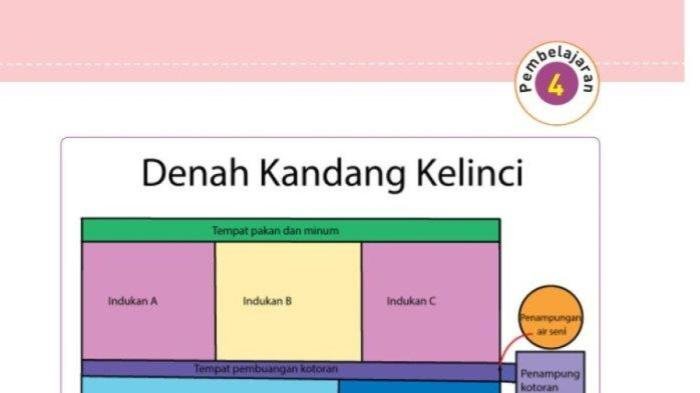 Kunci jawaban tema 1 kelas 5 halaman 91