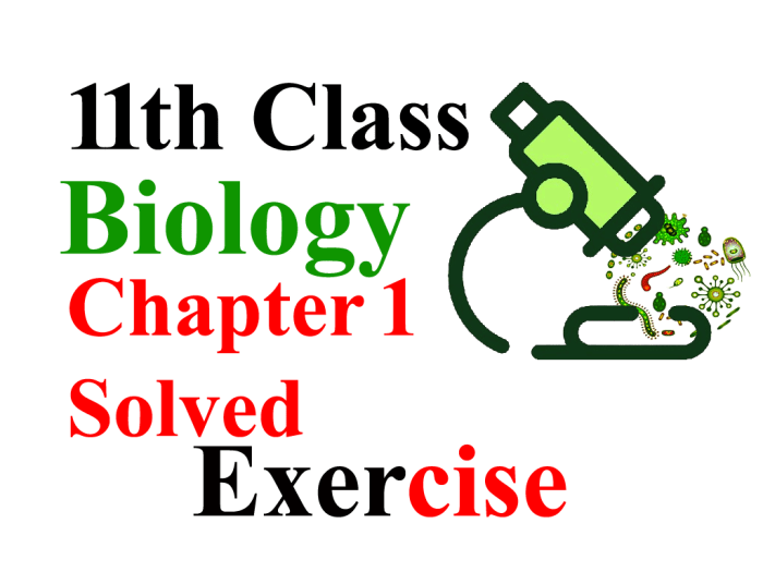 Kunci jawaban biologi kelas 11