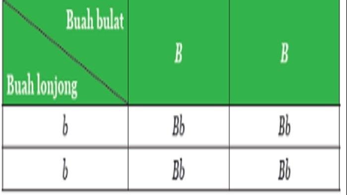Kunci jawaban ipa kelas 9 halaman 95