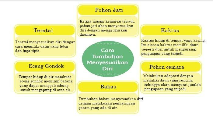 Kunci jawaban tema 6 kelas 6 halaman 21