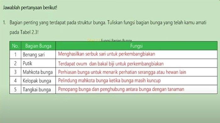 Kunci jawaban ipa kelas 9 halaman 66