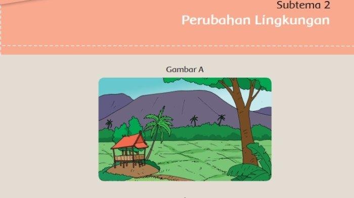 Kunci jawaban tema 8 kelas 5 halaman 56