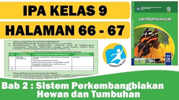 Kunci jawaban ipa kelas 9 halaman 66