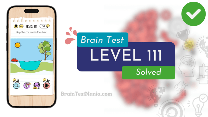 Kunci jawaban brain test level 111